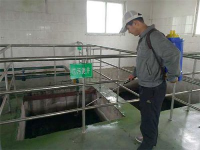 污水井消杀处理