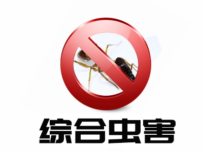 综合虫害服务